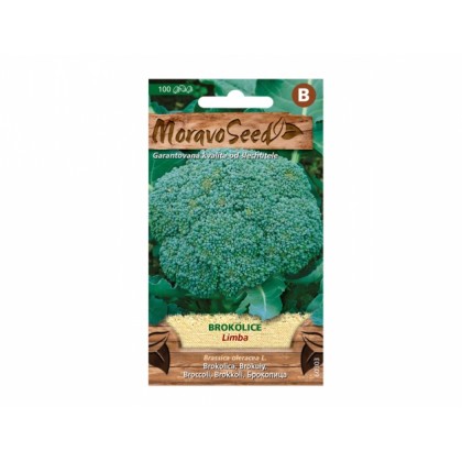 Brokolice LIMBA 60303