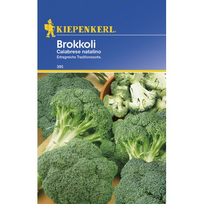 Brokolice - Calabrese natalino