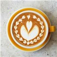 Motta baristické pero pro latte art