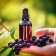 Acai berry - 100% přírodní esenciální olej 10ml Pěstík