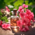 Pelargónie růžová - 100% přírodní esenciální olej (10ml) - Pěstík