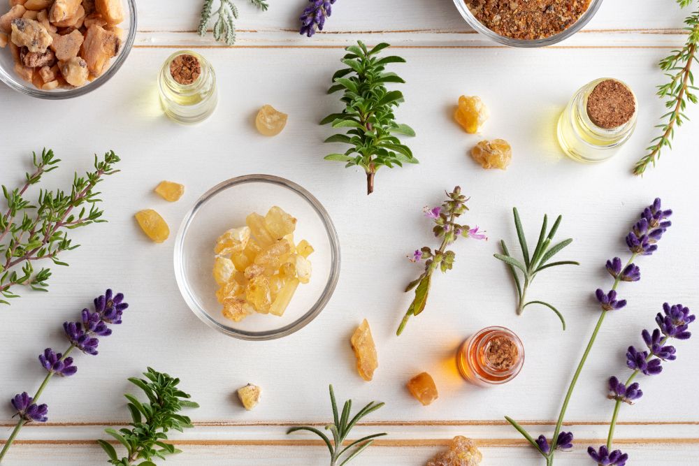 Lahvičky s esenciálními oleji obklopené čerstvými bylinkkami a květy pro aromaterapii