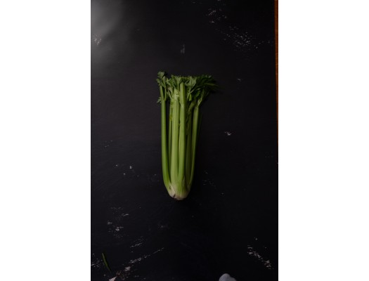 Zdravý celer