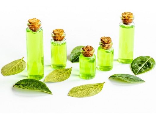 Tea tree olej: Tajná zbraň pro krásnou pleť a zdravé vlasy